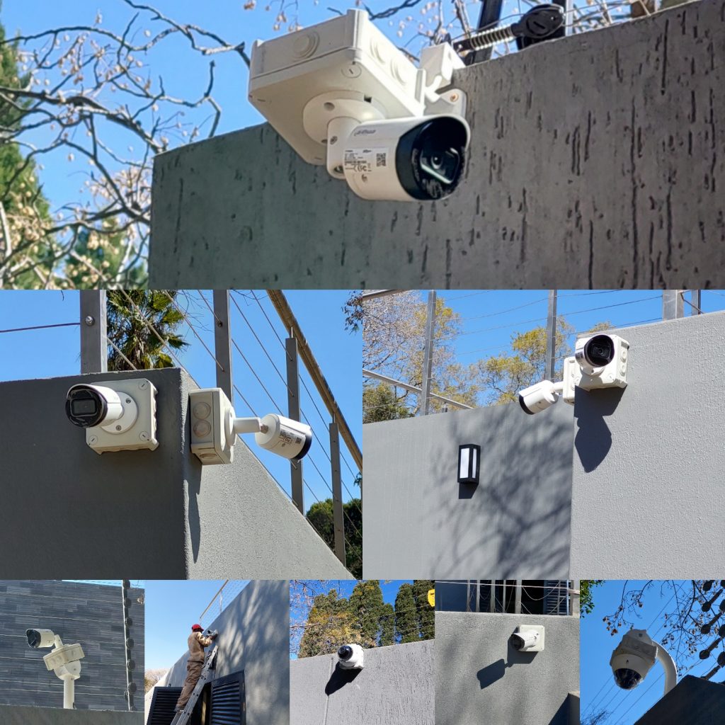 IMG_20210726_143226-1-1024x1024